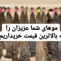 خرید و فروش موی طبیعی و رنگی بالا ترین قیمت