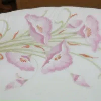 سرویس چینی قدیمی اک با جعبه|ظروف سرو و پذیرایی|اردبیل, |دیوار