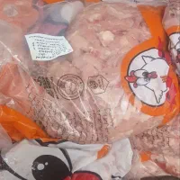 عرضه مستقیم بچه فیله سمین