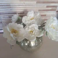 دوعددگلدان وگل خارجی