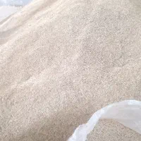 جو محلی|خدمات باغبانی و درختکاری|شیراز, دارالرحمه|دیوار