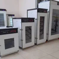 دستگاه جوجه کشی/anteباکتری