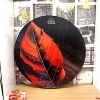 دف شاهو  نوجوان