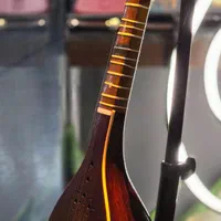 سه تار کنسرتی مهر تک نواز درجه یک|سازهای سنتی|پردیس, فاز ۲|دیوار