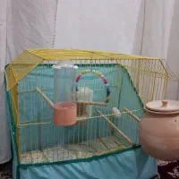 قفس مناسب مرغ‌عشق و عروس هلندی