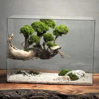 گیاه تراریوم شیشه‌ای و بونسای دکوری (سفارشی)