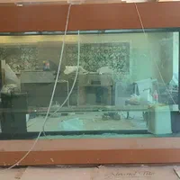 نصب و خدمات آکواریم|ماهی|تهران, امیرآباد|دیوار