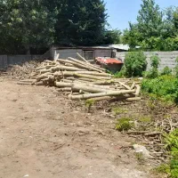 کار در باسکول