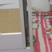 تخت کودک گهواره ای مناسب تا۶سال