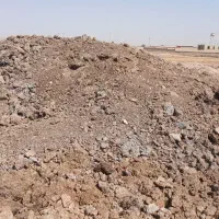 کود کهنه گاوی