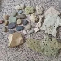 لوازم جانبی آکواریوم
