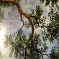 فروش زمین کشاورزی