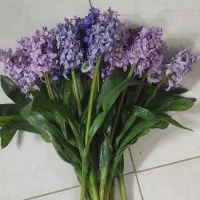 گل لمسی قابل شست و شو خارجی