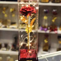 کادو‌گل قرمز و ریسه در قاب