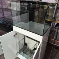 فروش و ساخت آکواریوم های ریملس برند blue ocean|ماهی|رشت, بلوار گیلان|دیوار