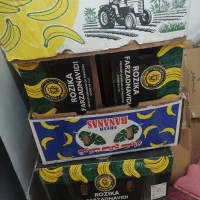 کارتون موزی