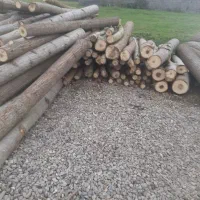 خرید چوب صنوبر و....|خدمات باغبانی و درختکاری|کوچصفهان, |دیوار