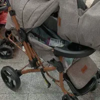 کالسکه و روروئک بنیتا دلیجان