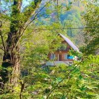 کلبه چوبی امیر دربست|اجارهٔ کوتاهمدت ویلا و باغ|اسالم, |دیوار