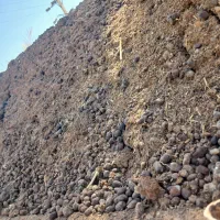 زمین کشاورزی و کود حیوانی