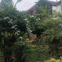 اجاره ویلااستخردار /شهرکی برند(خانم الهی)|اجارهٔ خانه و ویلا|رویان, |دیوار