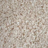 برنج گرده سید آباد کیاسر|خوردنی و آشامیدنی|ساری, |دیوار