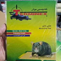 مرگ موش، سم موش، چسب موش بسیار قوی|لوازم نظافت|پردیس, شهرک صنعتی خرمدشت فاز ۷|دیوار