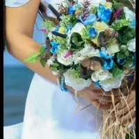 لباس برای عکاسی عروس|لباس|رشت, صفاری|دیوار