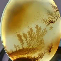 سنگ ، سنگ شجر|جواهرات|شیراز, دلگشا|دیوار