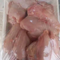 مرغ روز به قیمت کشتارگاه و قطعات مرغ موجود میباشد