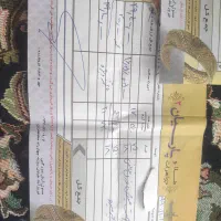 فروش طلا نو  ربع و نیم سکه|جواهرات|شیراز, شهرک مدرس|دیوار