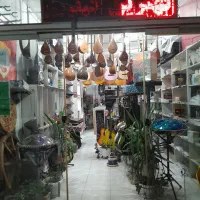 خرید وفروش انواع ساز|سازهای سنتی|فیروزآباد (فارس), |دیوار