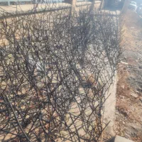 حفاظ روی دیوار مدل شاخ گوزنی