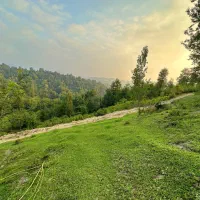 زمین روستایی (1500متری کوهپایه)  در شهرستان سیاهکل