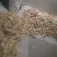 خرید ضایعات