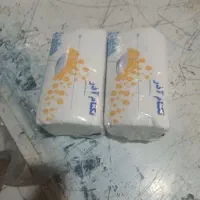 کارخانه دستمال کاغذی