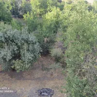 فروش زمین ۱۰۵۰ متری در طرق و ۲۱۰ متر مسکونی|فروش زمین و ملک کلنگی|مشهد, طرق|دیوار