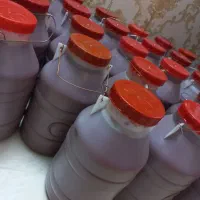 رب خانگی درجه 1