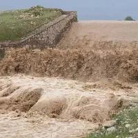 4هکتار زمین کشاورزی