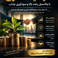 سر مایه گذار ی وسود عالی