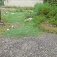 پلاک زمین دونبش سند دار داخل بافت شهری|فروش زمین و ملک کلنگی|امامزاده عبدالله, |دیوار