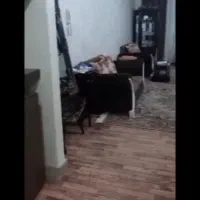خضرا طبقه دوم رهن ۳۰۰با ۸تومان تخلیه هست