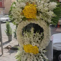تاج گل اقتصادی ارسال فوری