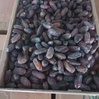 خرمای ربی۲۵تن