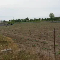 فروش زمین در لنگرود|فروش زمین و ملک کلنگی|رشت, چله خانه|دیوار