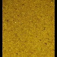 بذر قره یونجه