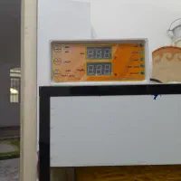 دستگاه جوجه کشی  با لوازم کامل در حد نو|لوازم جانبی حیوانات|قم, علی آباد سعدگان|دیوار