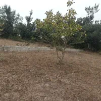 ۲۵۰ متر زمین در چشمکی روستای توریستی گنبک|فروش زمین و ملک کلنگی|توتکابن, |دیوار