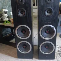 دو عدد باند