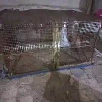 باربند پیکان وانت|قطعات یدکی و لوازم جانبی|اهواز, الصافی|دیوار